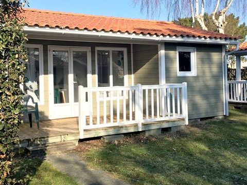 Camping L'Abri des Pins - Camping Vendée - Image N°27