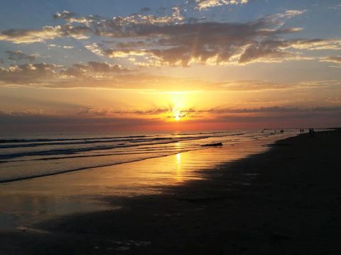 Camping L'Abri des Pins - Camping Vendée - Image N°25