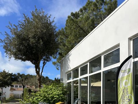 Camping L'Abri des Pins - Camping Vendée - Image N°22