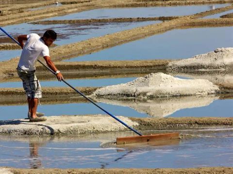 Camping L'Abri des Pins - Camping Vendée - Image N°16