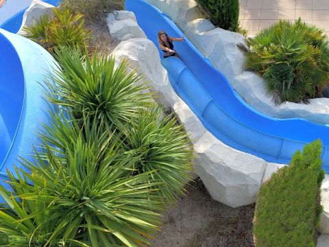 Camping L'Abri des Pins - Camping Vendée - Image N°6