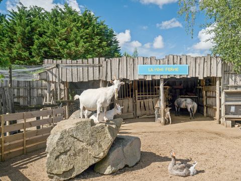 Camping La Grand Métairie - Camping Paradis - Camping Vendée - Image N°6