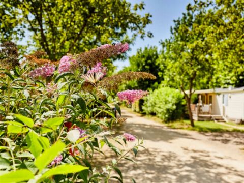 MOBILHOME 6 personnes - CONFORT