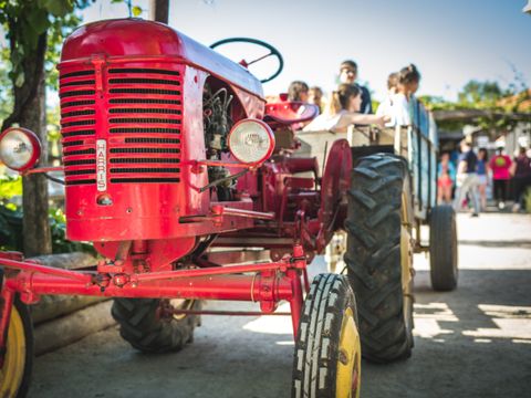 Camping La Grand Métairie - Camping Paradis - Camping Vendée - Image N°25