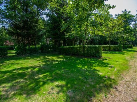 Camping des Bains - Camping Nièvre - Image N°4