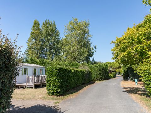 Camping Les Amiaux  Camping Les Amiaux  - Camping Vendée - Image N°12
