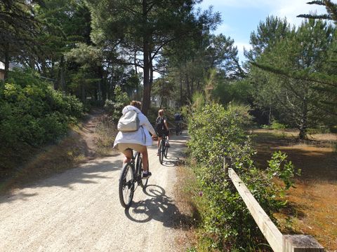 Camping Le Rivage - Camping Vendée - Image N°14