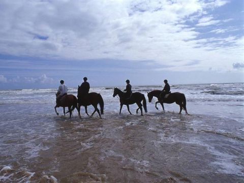 Camping Le Rivage - Camping Vendée - Image N°17