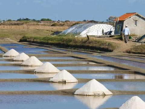 Camping Les Samaras - Camping Vendée - Image N°68