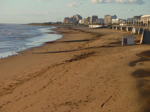 Camping Les Samaras - Camping Vendée - Image N°13