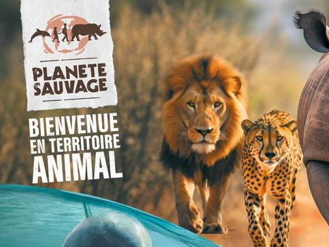 Camping Les Samaras - Camping Vendée - Image N°48