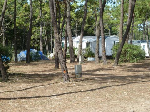 Camping Les Samaras - Camping Vendée - Image N°14