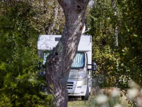 Flower Camping La Davière Plage - Camping Vendée - Image N°62