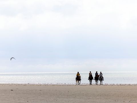 Flower Camping La Davière Plage - Camping Vendée - Image N°90