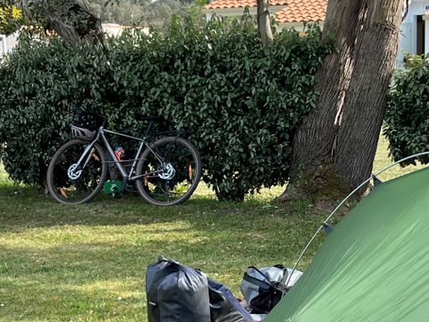 Flower Camping La Davière Plage - Camping Vendée - Image N°74