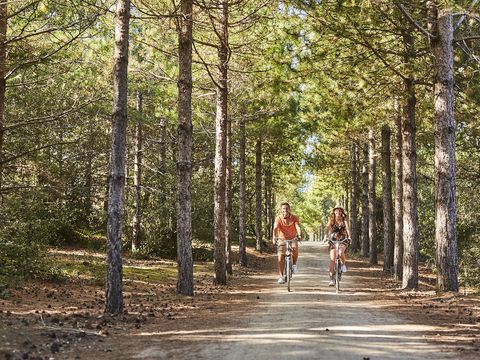 Camping Le Chenal  - Camping Vendée - Image N°23