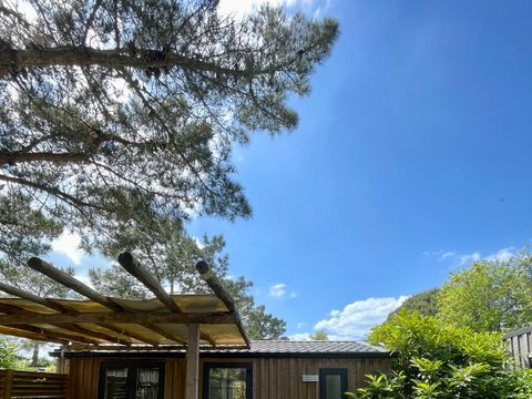 MOBILHOME 3 personnes - CONFORT - Mobil-home Vanilla 24m² - 1 chambre 2/3 pers. 2/3 pers