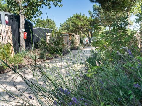 Camping Côté Plage - Camping Vendée - Image N°22