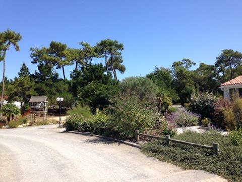 Camping Hibiscus - Camping Vendée - Image N°5
