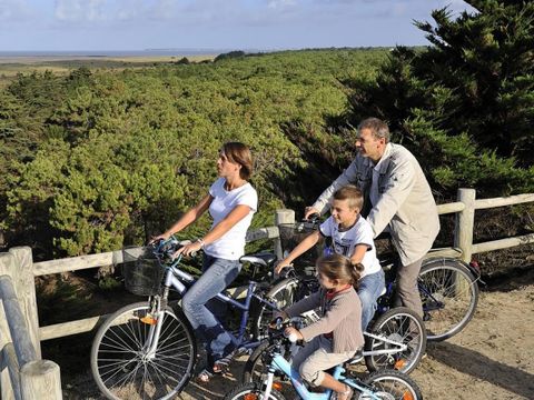 Camping Hibiscus - Camping Vendée - Image N°9