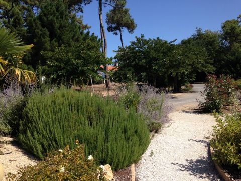 Camping Hibiscus - Camping Vendée - Image N°7