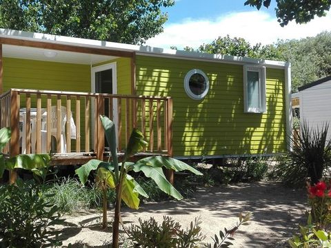 MOBILHOME 4 personnes - GOYAVE -25 m² - 2 chambres- terrasse intégrée