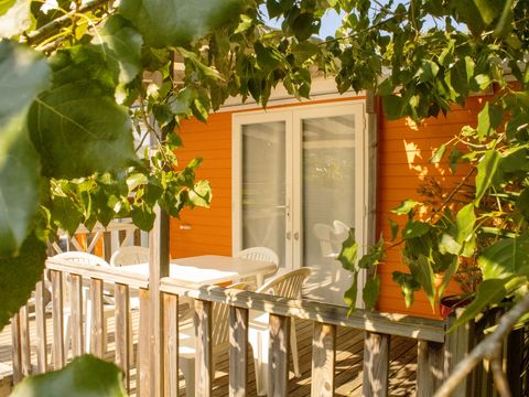 MOBILHOME 5 personnes - PITAYA - 28 m²- 2 chambres- terrasse semi-couverte 