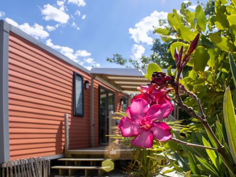 MOBILHOME 6 personnes - PAPAYE - 3 chambres - 33 m² - terrasse semi-couverte de 15 m²- 