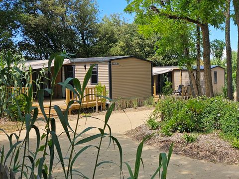 MOBILHOME 4 personnes - Cottage PREMIUM "TERRE et DUNE" - 32m² - terrasse bois semi-couverte - 2 chambres - Nouveauté 2024 4 pers