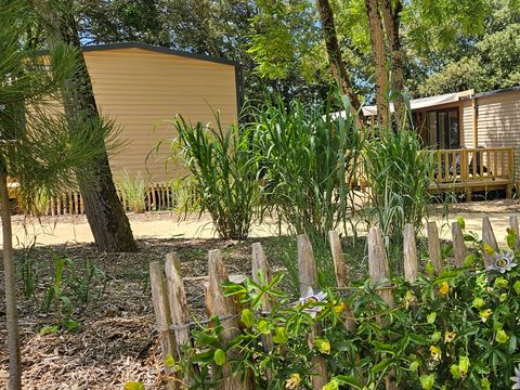 MOBILHOME 4 personnes - Cottage PREMIUM "TERRE et DUNE" - 32m² - terrasse bois semi-couverte - 2 chambres - Nouveauté 2024 4 pers