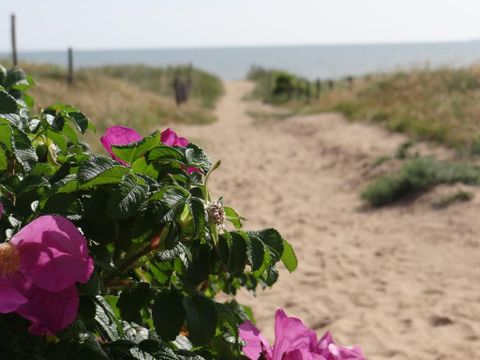 Camping Le Bois Verdon - Camping Vendée - Image N°45