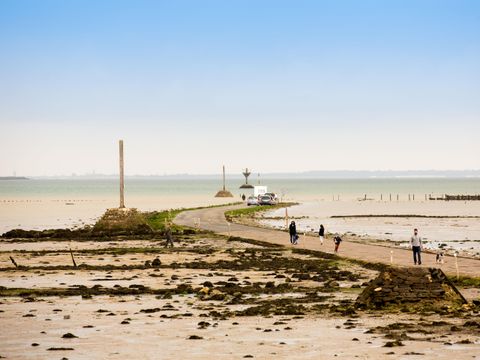 Camping Le Bois Verdon - Camping Vendée - Image N°50