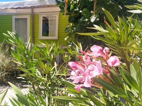 Camping Le Bois Verdon - Camping Vendée - Image N°39