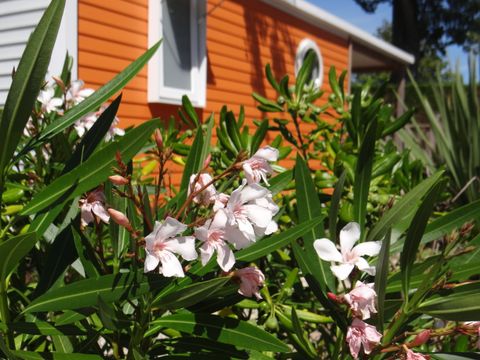 Camping Le Bois Verdon - Camping Vendée - Image N°40