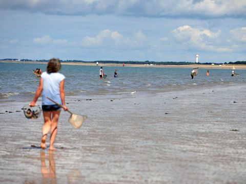 Camping Plein Sud - Camping Vendée - Image N°38