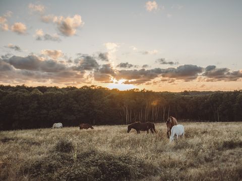 Camping Village La Guyonniere - Camping Vendée - Image N°20