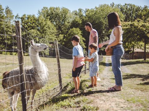 Camping Village La Guyonniere - Camping Vendée - Image N°36