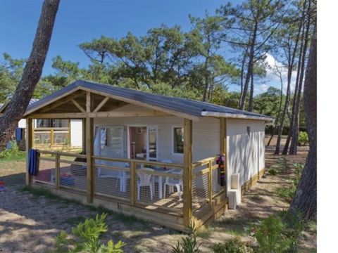 CHALET 6 personnes - Chalet | Comfort XL | 3 Ch. | 6 Pers.