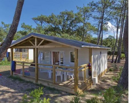 CHALET 6 personnes - Comfort XL | 3 Ch. | 6 Pers. | Terrasse simple | 1 SDB