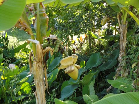 Camping Domaine du Vieux Moulin - Camping Landes - Image N°4