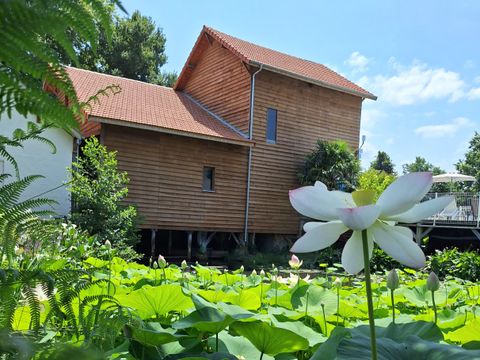 Camping Domaine du Vieux Moulin - Camping Landes - Image N°19