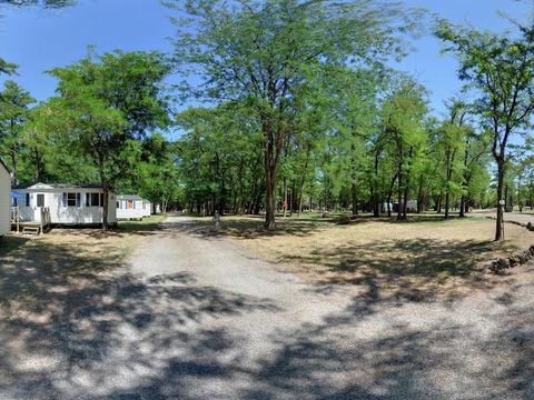 Camping Mas Sud Ardèche - Camping Ardèche - Image N°3
