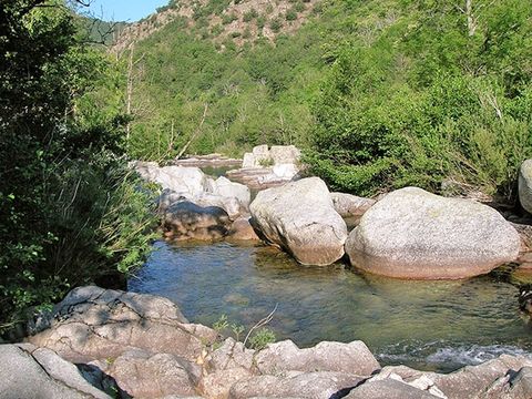 Camping La Dourbie - Camping Aveyron - Image N°14
