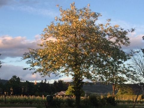 LODGE 5 personnes - Gîte rural : 'Le Gîte de Josette'