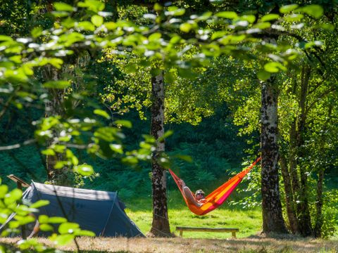 Camping la Fougeraie - Camping Nièvre - Image N°23