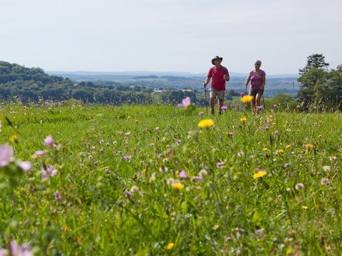 Camping la Fougeraie - Camping Nièvre - Image N°39
