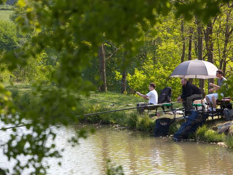Camping la Fougeraie - Camping Nièvre - Image N°36
