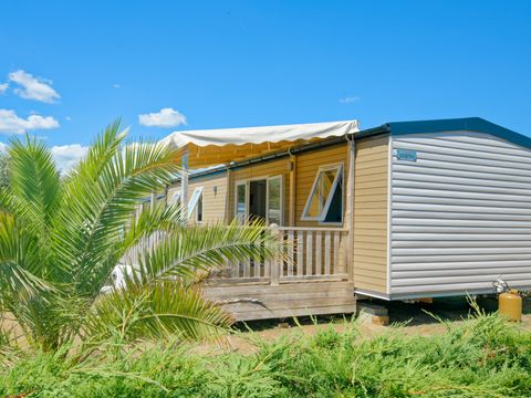 Camping Les Carolins - Camping Manche - Image N°31