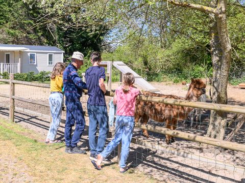 Camping Les Carolins - Camping Manche - Image N°73