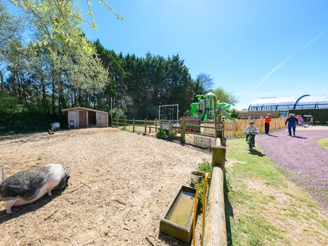 Camping Les Carolins - Camping Manche - Image N°7